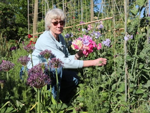 Excitement grows as gardens to welcome hundreds for charity