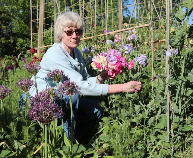 Excitement grows as gardens to welcome hundreds for charity