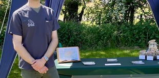 Pet travel made simple by Farnham vet