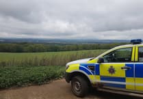 Stolen cars and weapons seized as Surrey Police clamp down on rural crime