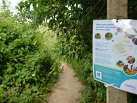 Have your say on South Farnham park project