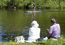 A fifth of households in Waverley have easy access to open water