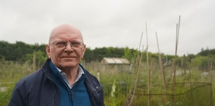 Community allotments attacked by vandals