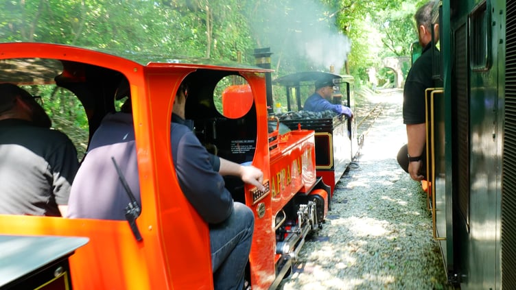 Parallel run