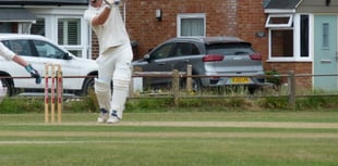 Eighth wicket partnership of 124 sinks Waverley at Elstead