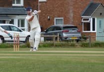 Eighth wicket partnership of 124 sinks Waverley at Elstead