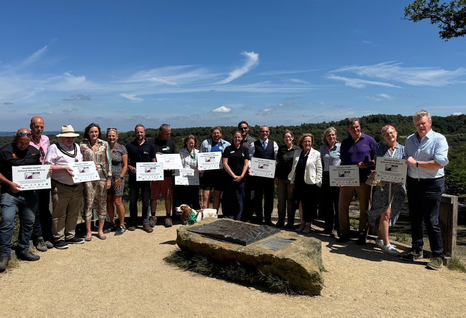 <p>Surrey’s Wealden Heaths declared England’s largest new National Nature Reserve</p>