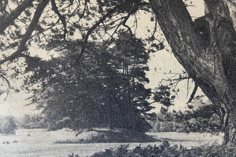 Burial grounds, Petersfield Heath, July 3rd 1975.