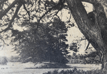 Cheap metal detectors threatened Petersfield's ancient burial grounds