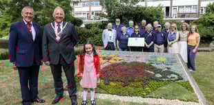 Gostrey gardening glory for Willow's ladybird design