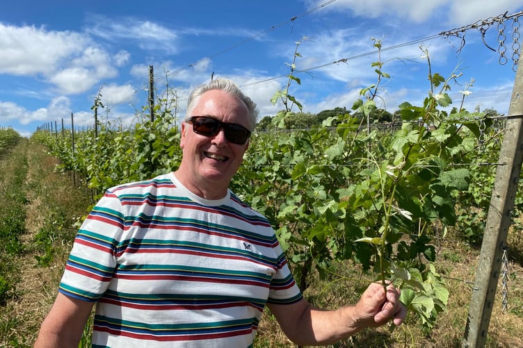 John Wilkins with some of the grapes at Penn Croft Vineyards, Crondall.
