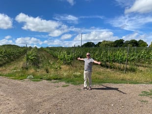 WATCH: Is everything rosé in our local wine industry?