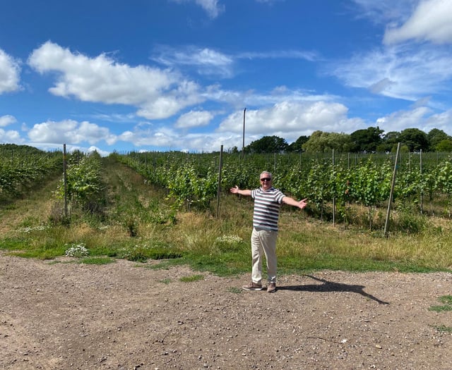 WATCH: Is everything rosé in our local wine industry?