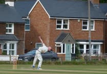 Waverley Cricket Club fall to narrow defeat at Elstead