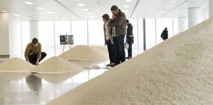 Acclaimed global installation comes to Farnham Maltings