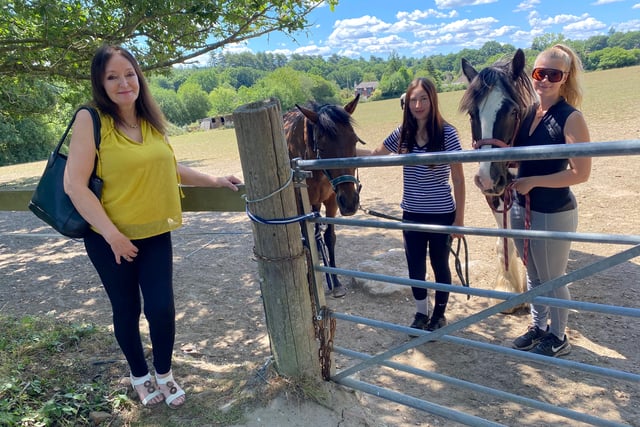 Equestrian centre faces biggest hurdle as 49 homes proposed