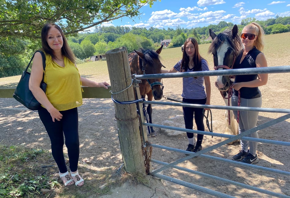 Council recommends approval for 49 homes on Rowledge equestrian site