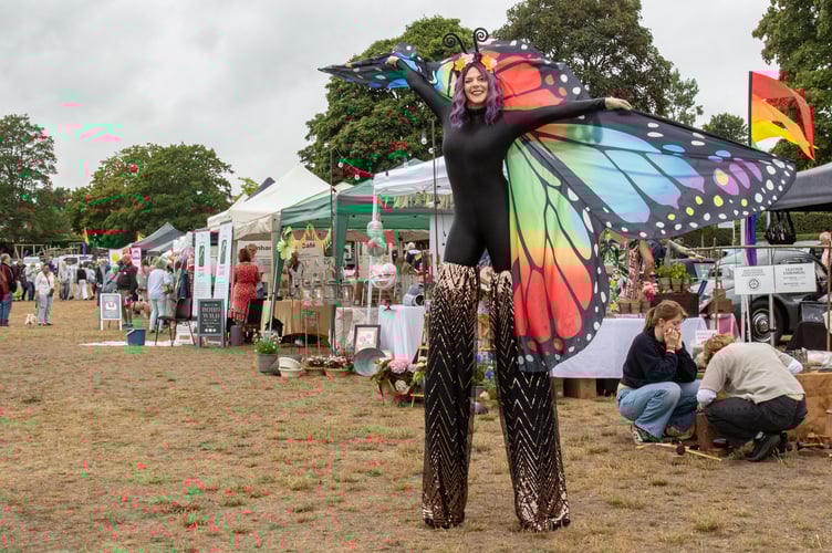 Bourne Show Butterfly