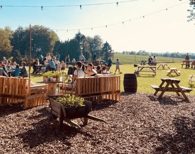 ITV Starstruck winner Rachael Hawnt headlining Dellfest in East Meon