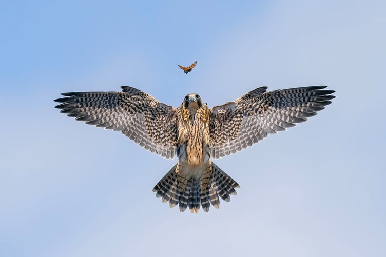 Looking into the sky with Jack Zhi.