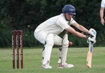 Clanfield's second team fall to Hampshire Cricket League defeat against Purbrook