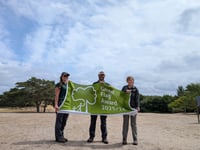 Waverley parks shine with Green Flag awards