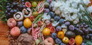 Food waste collections to start in East Hampshire next year