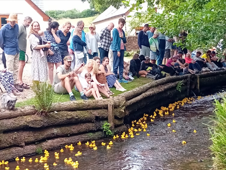 The Fitzhead Fete duck race at Holcombe Farm.