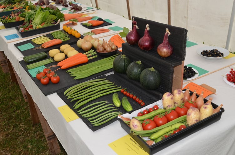 Some of the produce entries in Bicknoller's summer flower show.