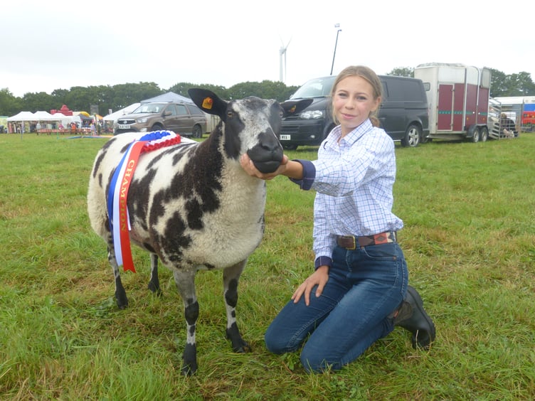 Sophie Neale of Launceston was beaming with pride - as was her family - after she clinched the champion rosette in the Young Handlers class. Sophie, 15, pictured with her winning Dutch spotted shearling ewe 'Tamar Valley Hatic', has been showing her sheep for four years, having made the switch from cattle. A very knowledgable Sophie told us: "We normally show shorthorn cattle but moved to sheep as they are a bit easier and I enjoy it more. I used to have some Jacobs when I was younger but after we sold some of the fatstock cattle Dad said to get these." Her father, Chris jested: "She listened for once!" Supported by an experienced farming family, Sophie's grandfather Jack Neale added: "I am a very proud grandfather today. She is a workaholic with her sheep!"