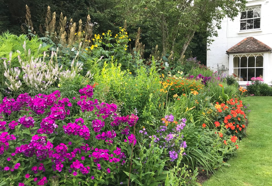<p>The 1.5 acre of Wheatley House between Binsted and Kingsley will be opened to the public next weekend - but it could be for the last time.</p>