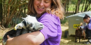 Animal-assisted outreach supports young people with anxiety in Surrey