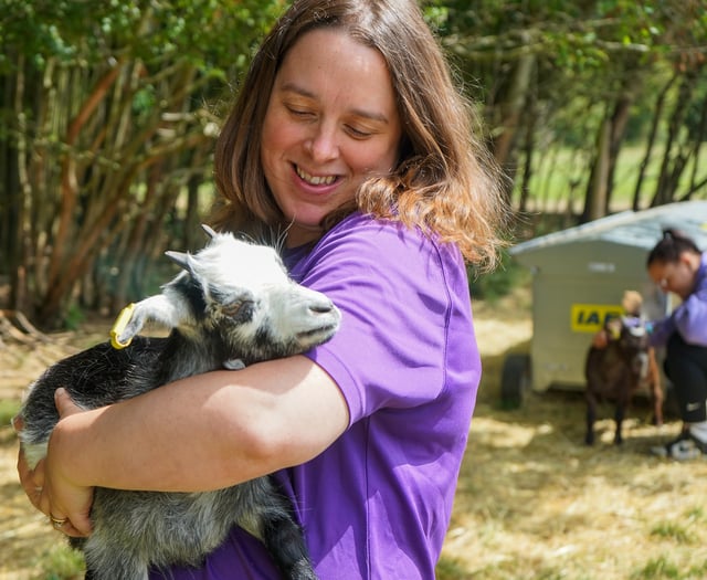 Animal-assisted outreach supports young people with anxiety in Surrey