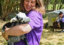 Animal-assisted outreach supports young people with anxiety in Surrey