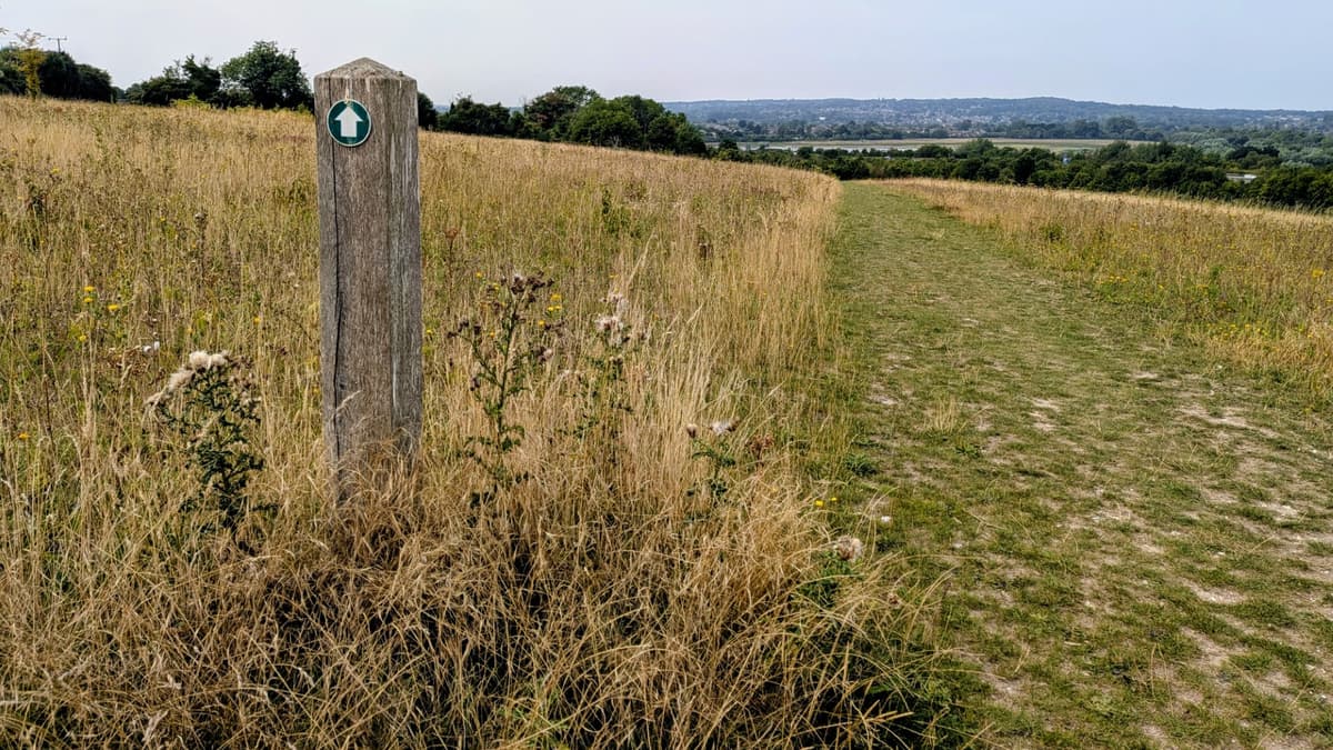 VIDEO: High praise as Runfold Ridge wins national award | farnhamherald.com
