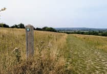 VIDEO: High praise for beauty spot near Farnham as Runfold Ridge wins national award