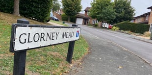 Crest suggestions for road names called "sick-making"