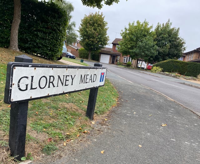 Crest suggestions for road names called "sick-making"