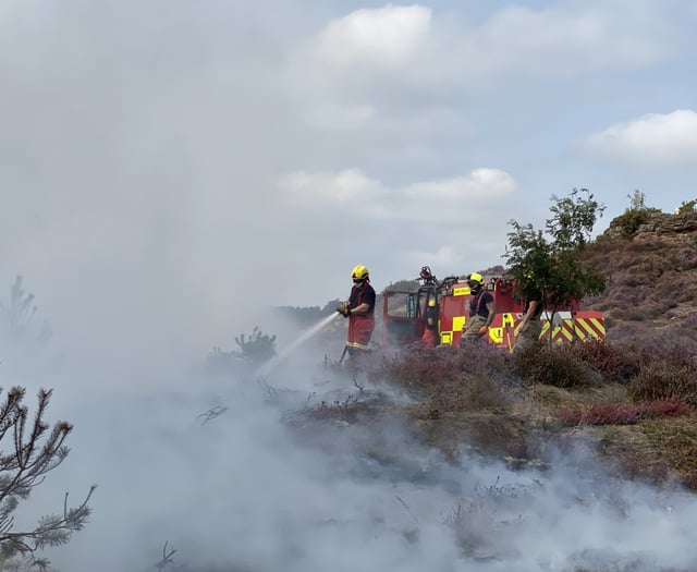 Stop lighting fires, warns Fire Chief after Churt Common blaze