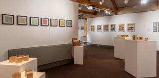 Artists staging exhibition to highlight ancient woodland