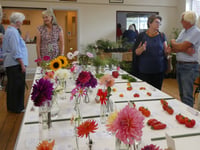 Hampshire and Surrey clubs and societies news