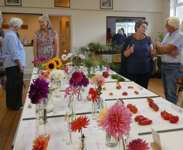 Hampshire and Surrey clubs and societies news