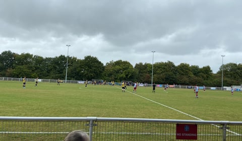 Badshot Lea end season with narrow defeat against champions Cobham