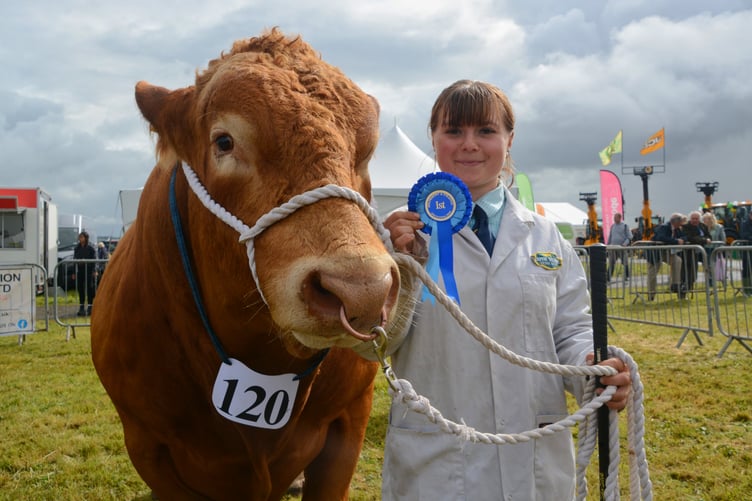 First prize for this award winning bovine at the Holsworthy and Stratton Agricultural Show. (Picture: Rodney Parrish)