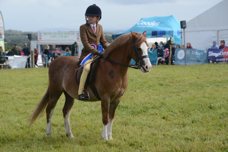 One youngster and their horse at the Holsworthy and Stratton Agricultural Show (Picture: Rodney Parrish)