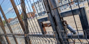 Wool you please sort it out!