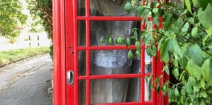 Phone boxing clever as UCA artist showcases work in Frensham