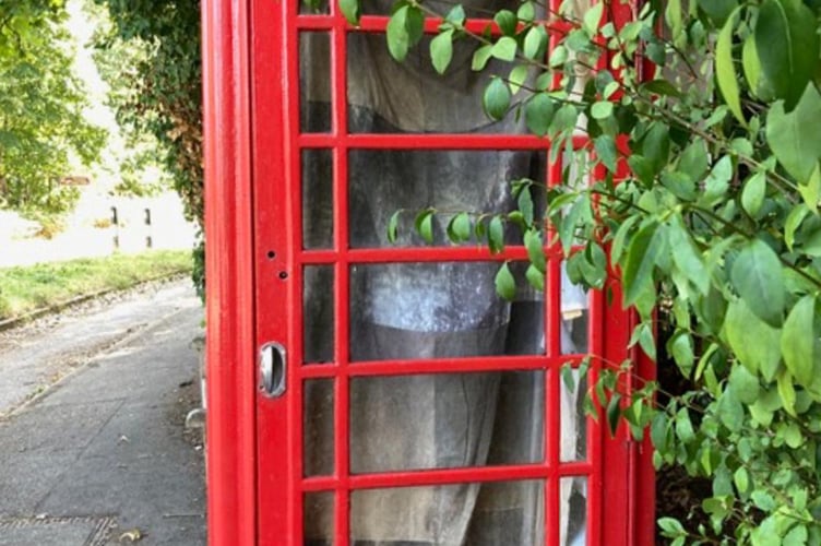 Last Call phonebox Frensham Freya McDonald