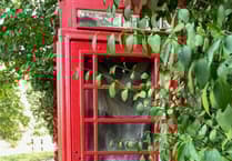 Phone boxing clever as UCA artist showcases work in Frensham