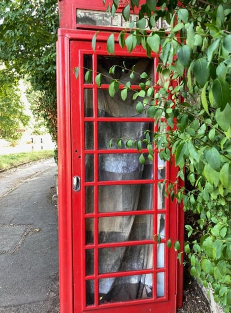 Last Call phonebox Frensham Freya McDonald